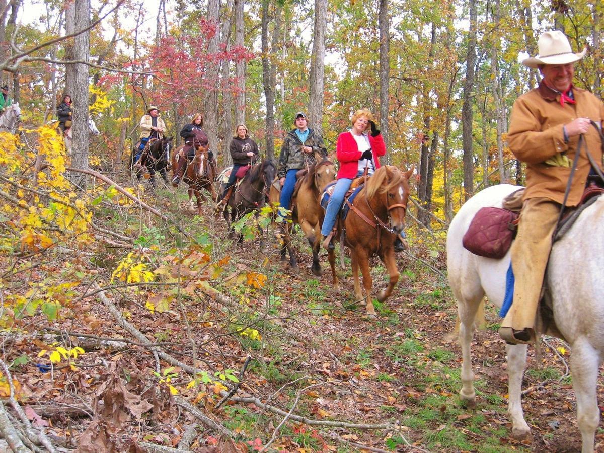 Pennyrile Forest State Resort Park Hawkins Kültér fotó